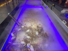 -阳光牧场自助餐厅(宝德购物中心店)