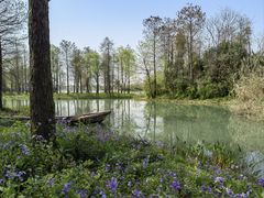 -西溪国家湿地公园