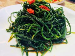 凉拌沙葱-新粤新疆菜清真餐厅(拱北店)