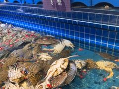 -乔哥铭洋海鲜自助(皇城恒隆广场店)