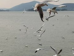 -蠡湖大桥公园