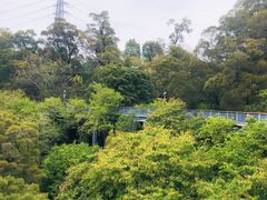 -金鸡山公园