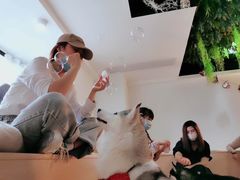 -Husky Go! 哈士奇体验馆·宠物咖啡厅狗咖