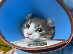 -嘟宝宠物生活馆(白桦林居店)