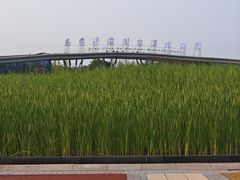 -西安浐灞国家湿地公园