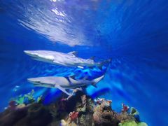 -石林冰雪海洋世界