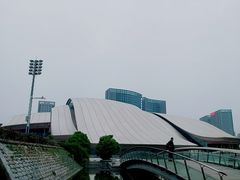 -合肥大剧院