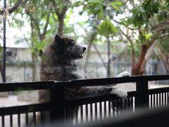 -TrueLove @ Neverland (Husky Cafe)