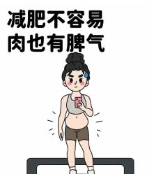 -Fundi张玉珊修身堂·indiba·BTL科技瘦身