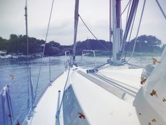-上海美帆帆船露营基地