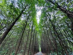 -同里国家湿地公园