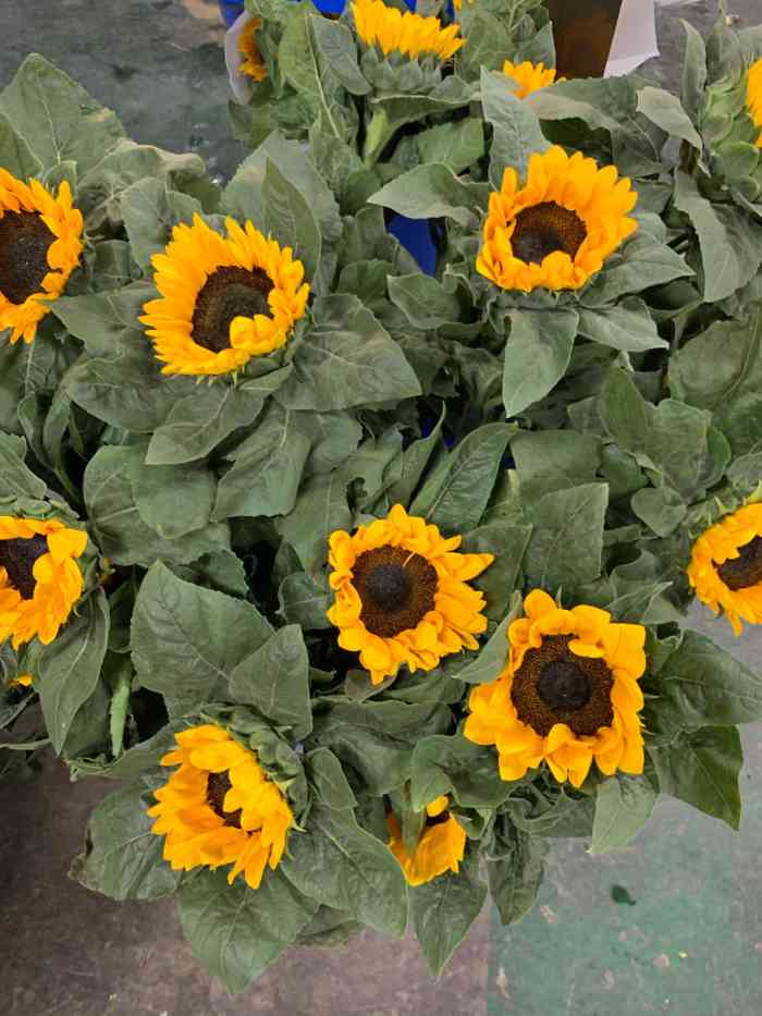 大溪沟聚金花市-"环境比较偏,但是买花花绝对值得,好不容易.