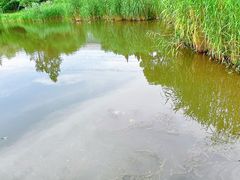 -美兰湖景区