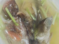 小石斑鱼汤-朝春酒楼