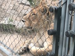 -石家庄市动物园