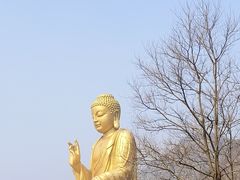 -大伊山景区
