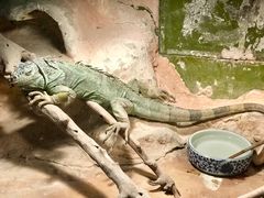 -上海大自然野生昆虫馆(东方明珠·爬宠昆虫探索中心)