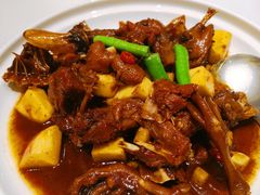 平安鸿运鸭-上座云间·青年赣菜(绿茵店)