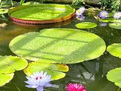 -国家植物园南园