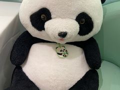 -眉州东坡·熊猫主题餐厅(枫蓝店)