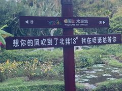 -呀诺达热带雨林