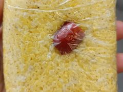 -许阿姨糕团店(南京总店)
