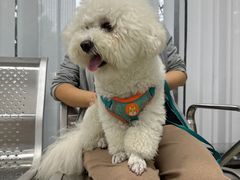 -美美宠物诊疗中心·异宠·骨科(滨江东信分院)