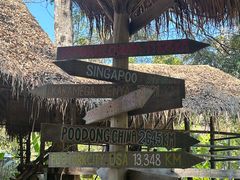 -大象粑粑造纸公园