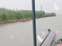 -哈素海