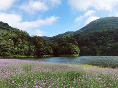 -广州市石门国家森林公园