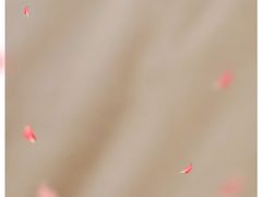 -安蒂娅·海鲜自助餐厅(安蒂娅美兰酒店)