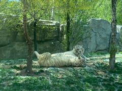 -北京野生动物园