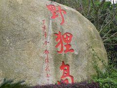 -野狸岛