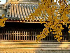 -惠山古镇·寄畅园