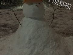 -穆老九清真牛羊肉馆(宋城店)