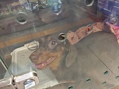 -FAELING PETS美天灵宠物(富力广场店)