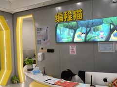 -编程猫·少儿编程(绿宝校区)