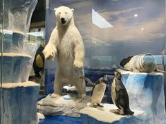 -国家自然博物馆