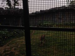 -武汉动物园