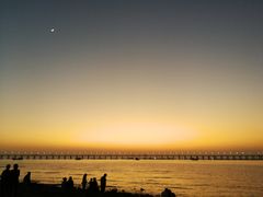 -宝安西湾红树林湿地公园