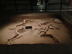 -洛阳周王城天子驾六博物馆