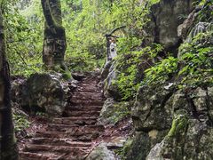 -普者黑风景区-青龙山