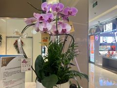 -福田卓悦INTOWN购物中心