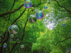 -上海共青森林公园