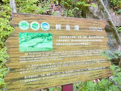 -燕子河大峡谷天坑仙境