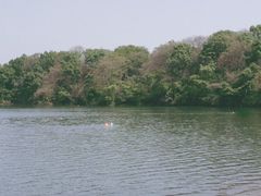 -佛手湖郊野公园