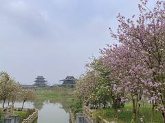 -海珠湖公园