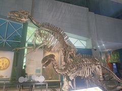 -湖南省地质博物馆