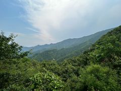 -大觉寺-停车场