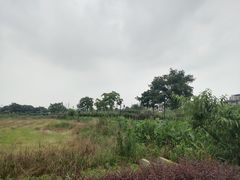 -田园东方蜜桃村的田野营地